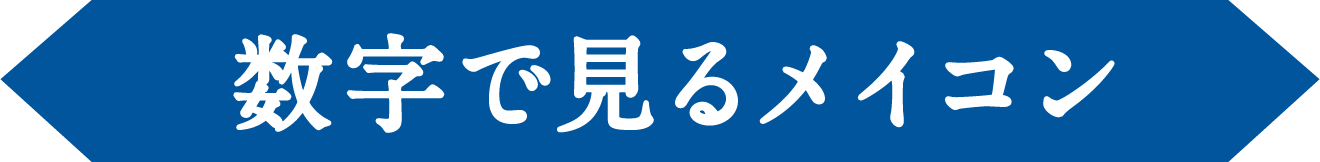 数字で見るメイコン